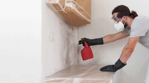 Professional Basement Mold Remediation technician working in Princeton, FL